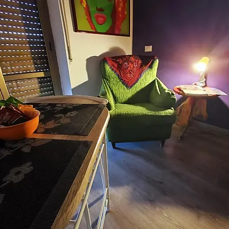 Pet's Friendly House *
